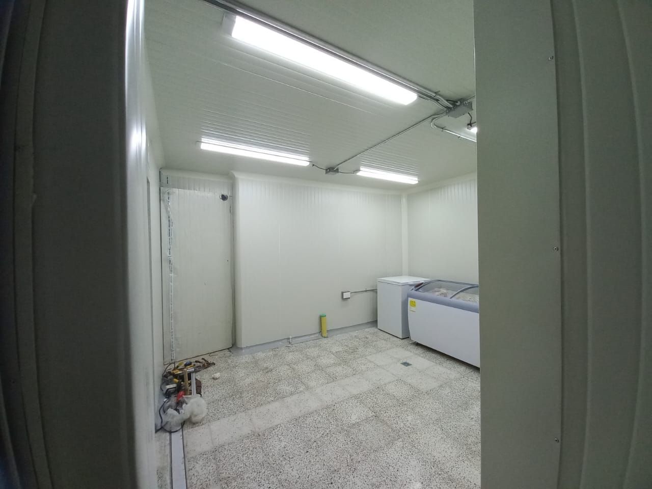 Habitación de paredes blancas con puerta cerrada, luces de techo y dos congeladores.