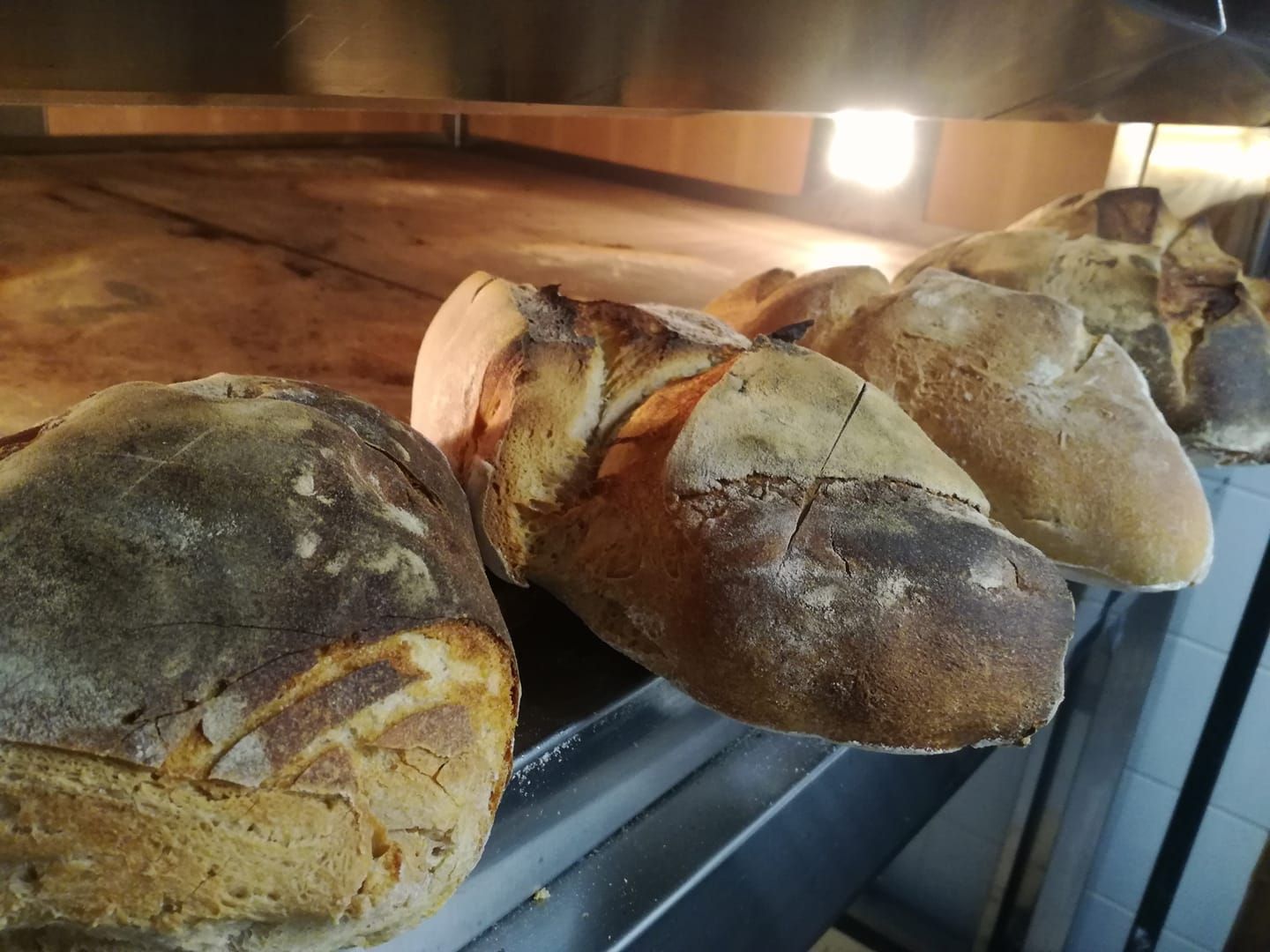 un piatto bianco con spaghetti e salsa di pomodoro