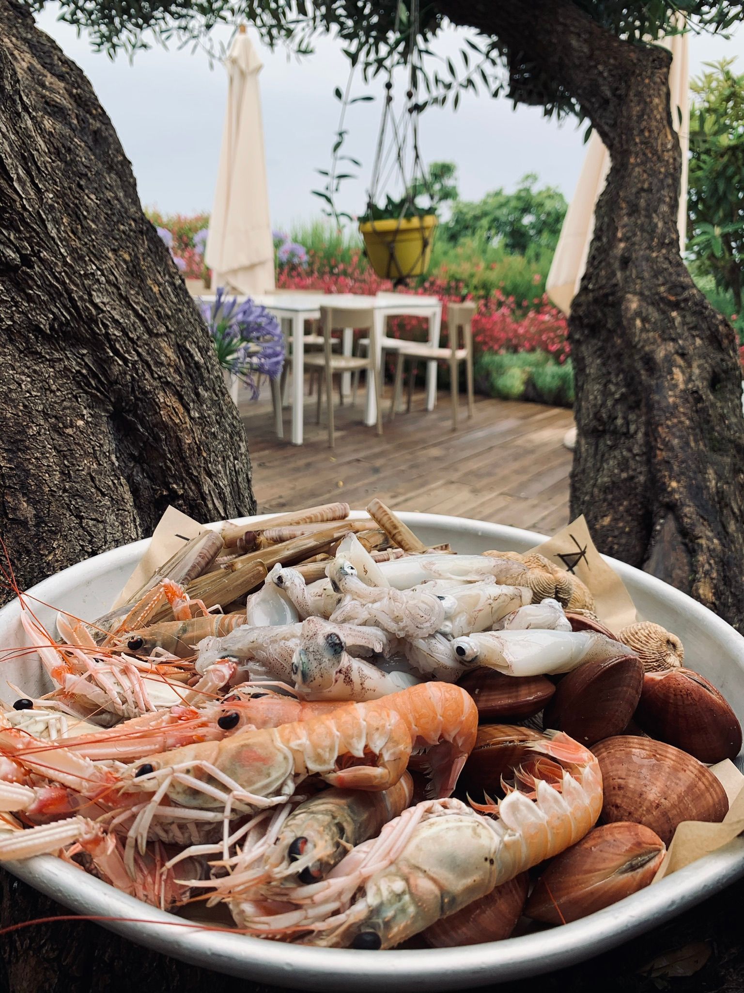 una pizza è seduta su un tavolo accanto a una bottiglia di zona francia