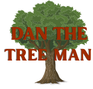 Dan the Tree Man Logo