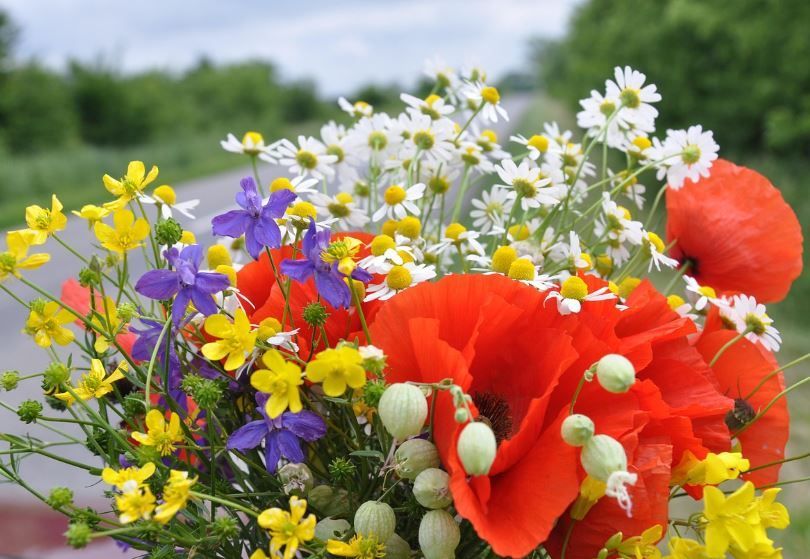 Fresh wildflowers offering comfort for cremation services Phoenix, AZ memorial planning