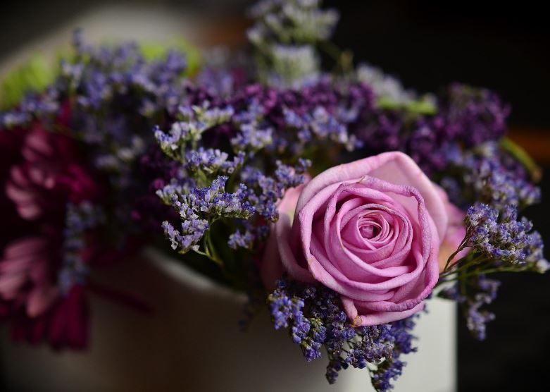 cremation services Phoenix, AZ