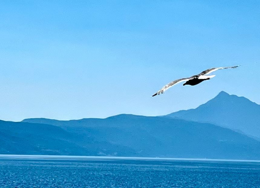 cremation services Phoenix, AZ