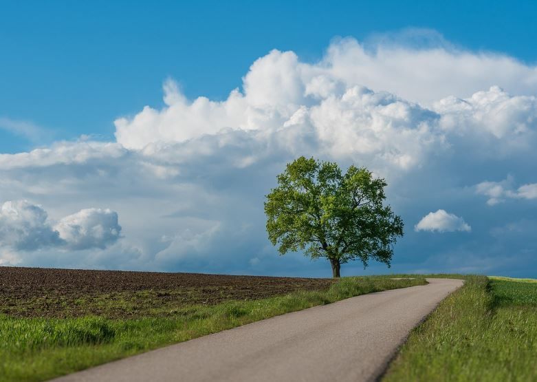 cremation services Phoenix, AZ