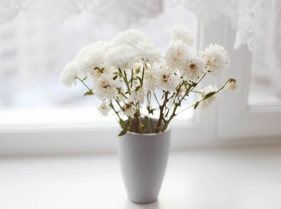 cremation services Phoenix, AZ
