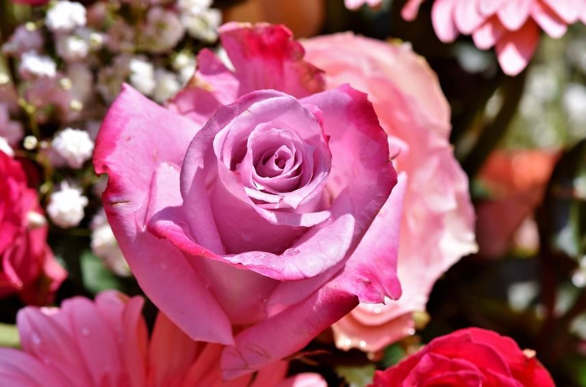 funeral homes Phoenix, AZ