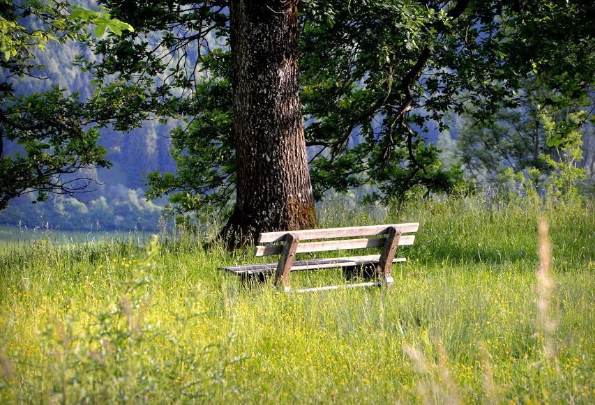 funeral homes Phoenix, AZ