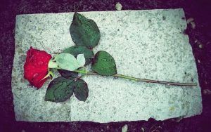 Rose on Headstone