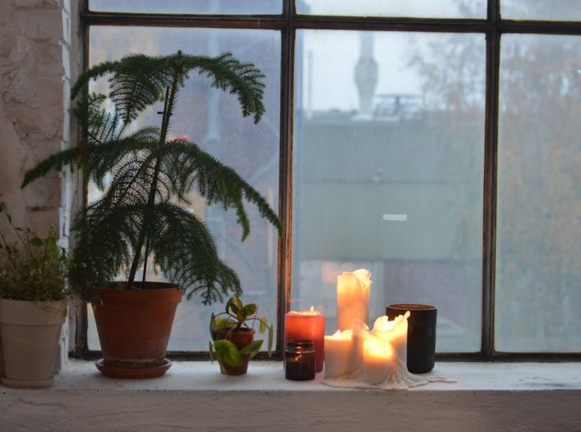 Window candles glowing beside potted plants, healing journey, cremation services Phoenix, AZ