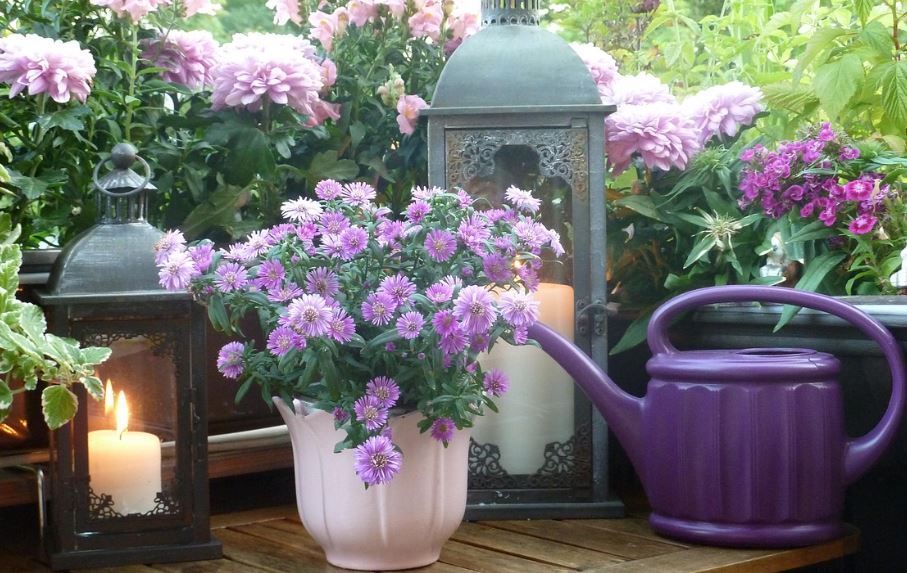 funeral homes Phoenix, AZ