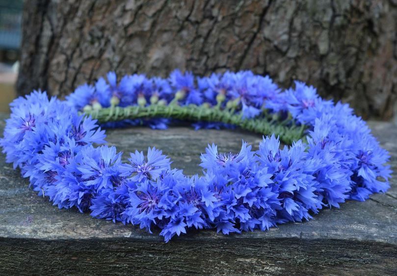 cremation services Phoenix, AZ