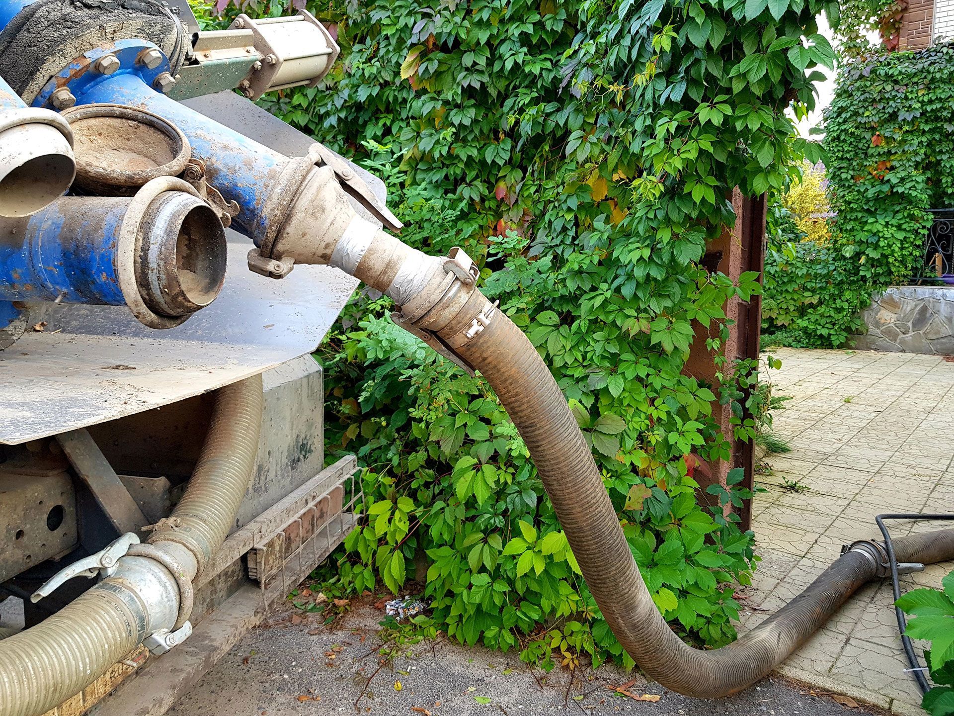 A dirty hose connected to a blue and silver machine, resting next to green vines.