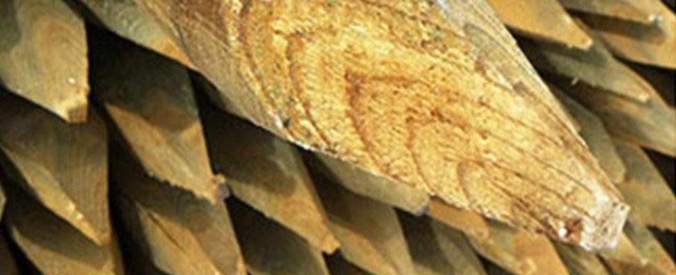 pali legno di pino impregnati
