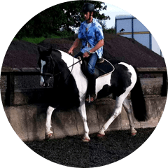 Horse riding lessons