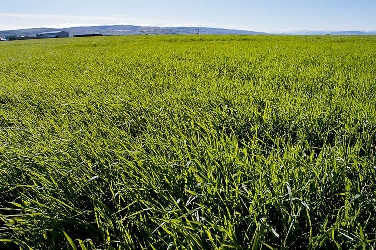 Ben Kokjer People Page Banner