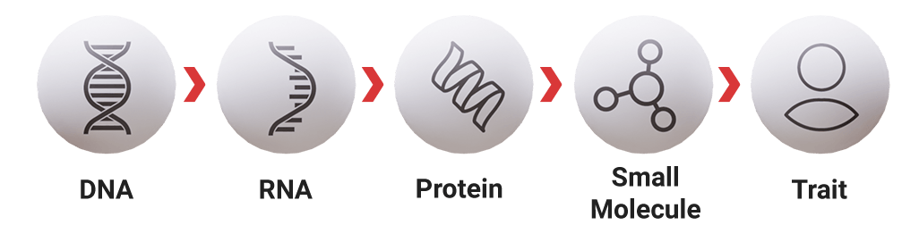 Central dogma graphic showing: DNA > RNA > Protein > Small Molecule > Trait