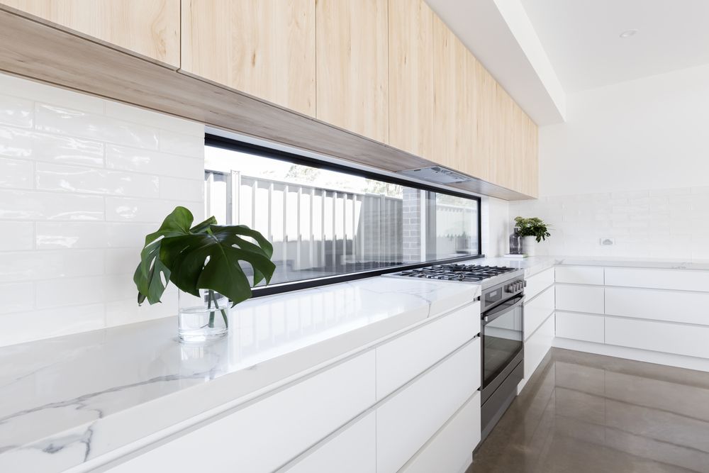 A Kitchen With White Cabinets and a Potted Plant on the Counter — Hunter Kitchen King In Lambton, NSW