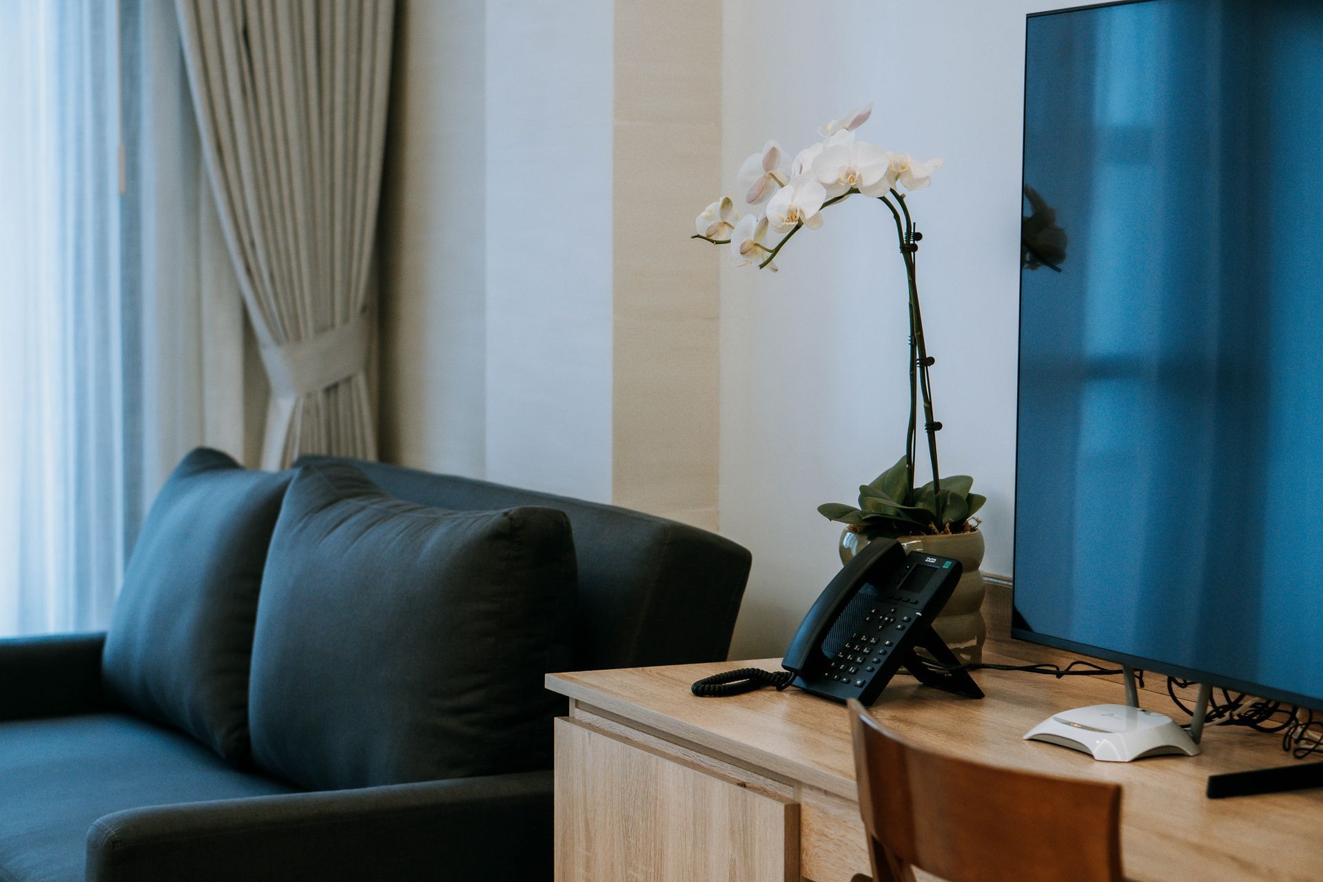 A hotel room interior featuring a couch, desk with TV, phone, and orchid plant.