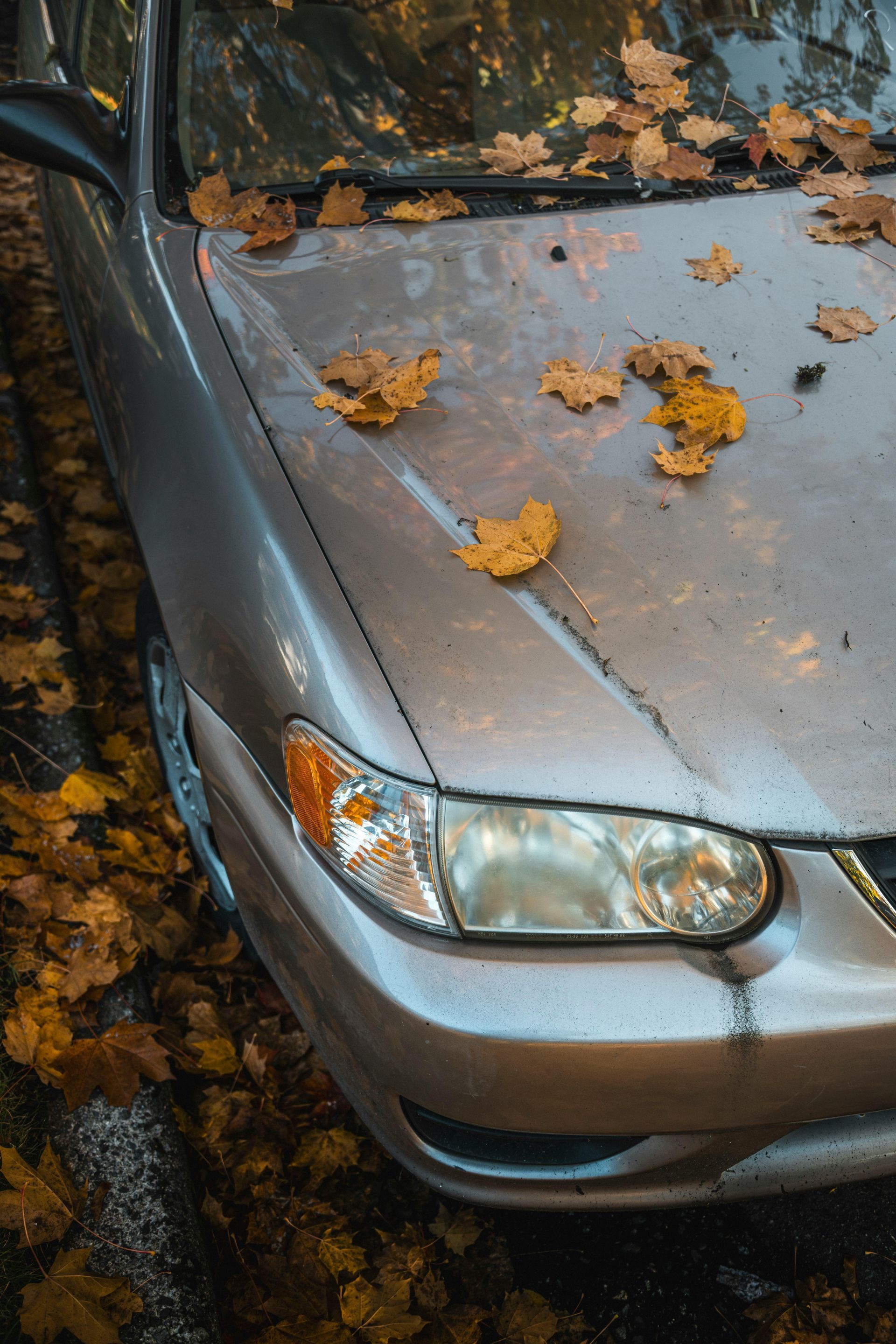 Silver car covered in fall leaves on a wet, paved surface.