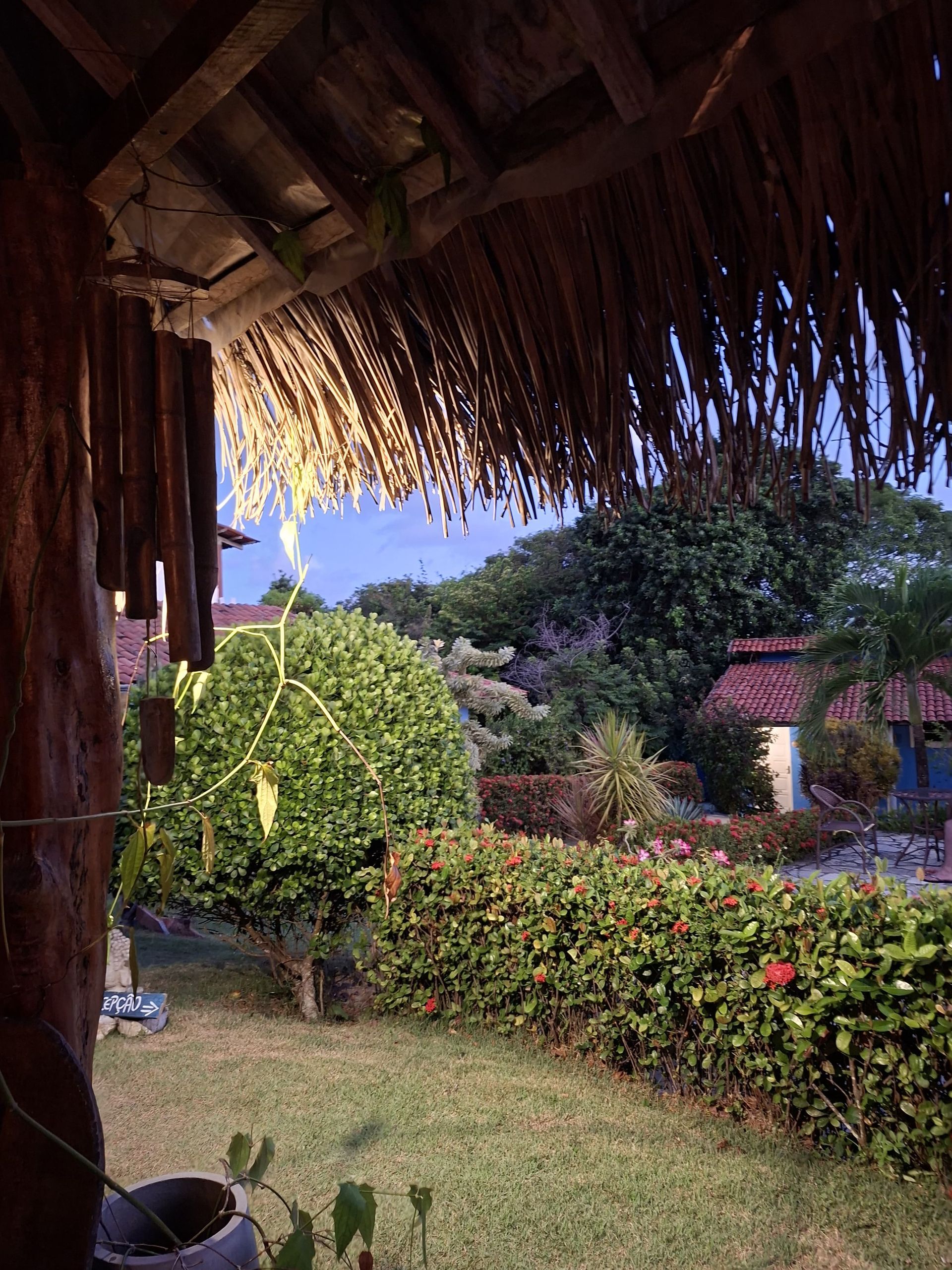 Vista de debaixo de um telhado de palha, mostrando um jardim exuberante com arbustos, flores e edifícios ao longe.