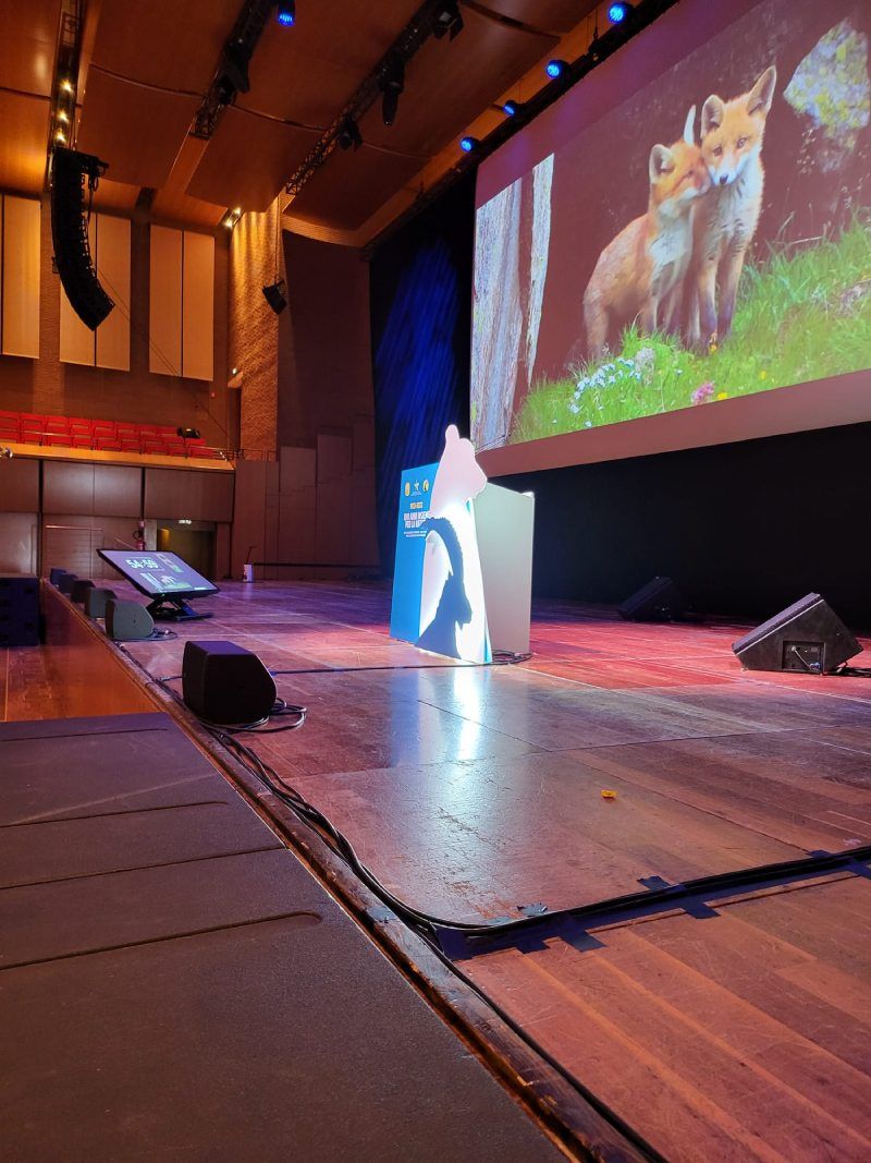 palco evento aziendale