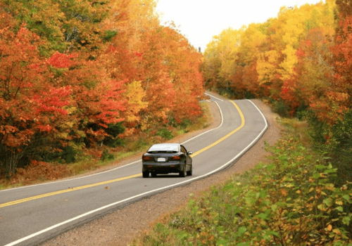 Don’t Let Fall Catch Your Car Off Guard—Find Out What Services Need Attention