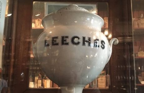 Urn of Leeches a the New Orleans Pharmacy Museum