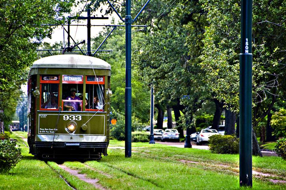The St Charles Street Car makes it way under the Live Oaks