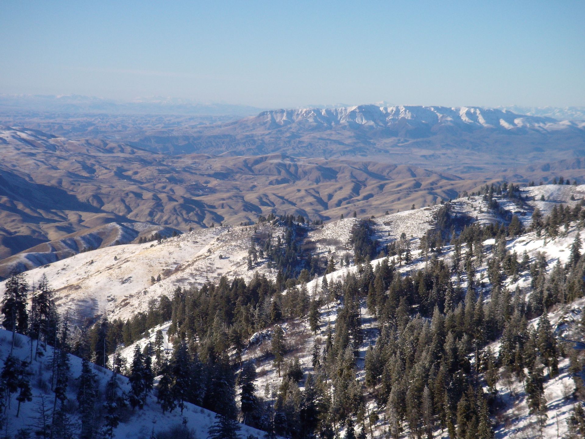 Snow-covered mountains and pine trees overlooking Treasure Valley in Idaho.