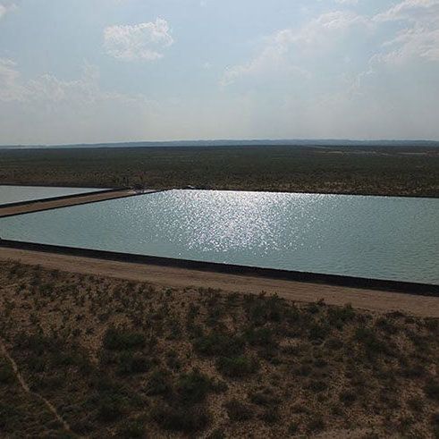 ponds retention services