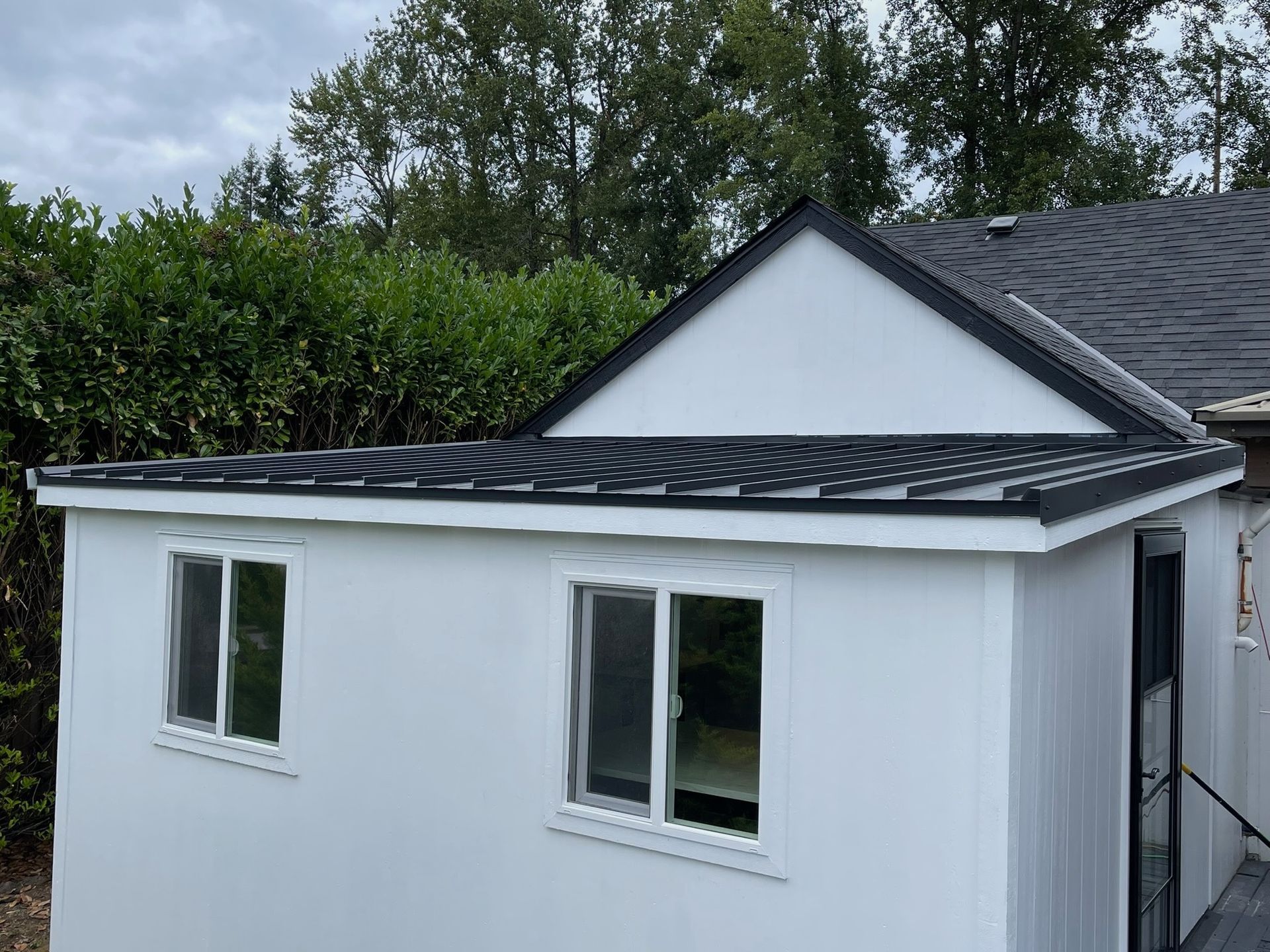 A white, single-story shed with a dark shingled roof, two windows, and a black door, situated against a green hedge.