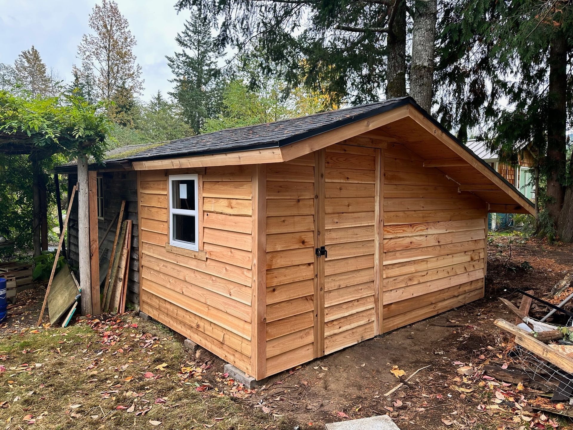 A new wooden shed with a dark shingled roof and a white window sits on a dirt patch in a wooded area.