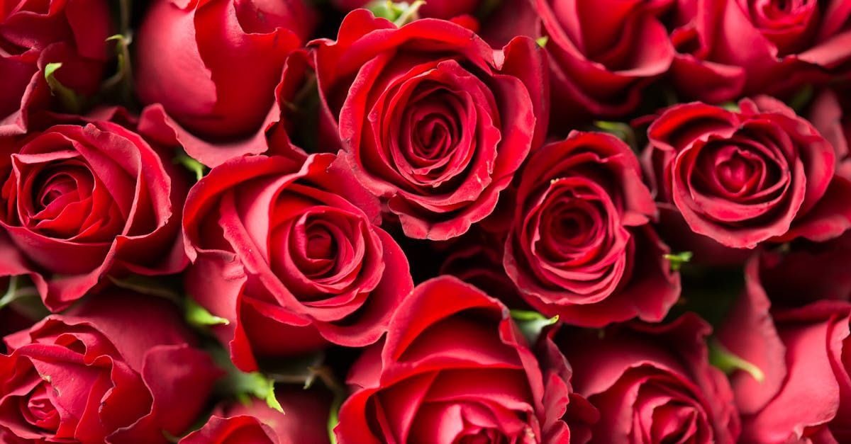 A bunch of red roses are sitting on top of each other on a table.