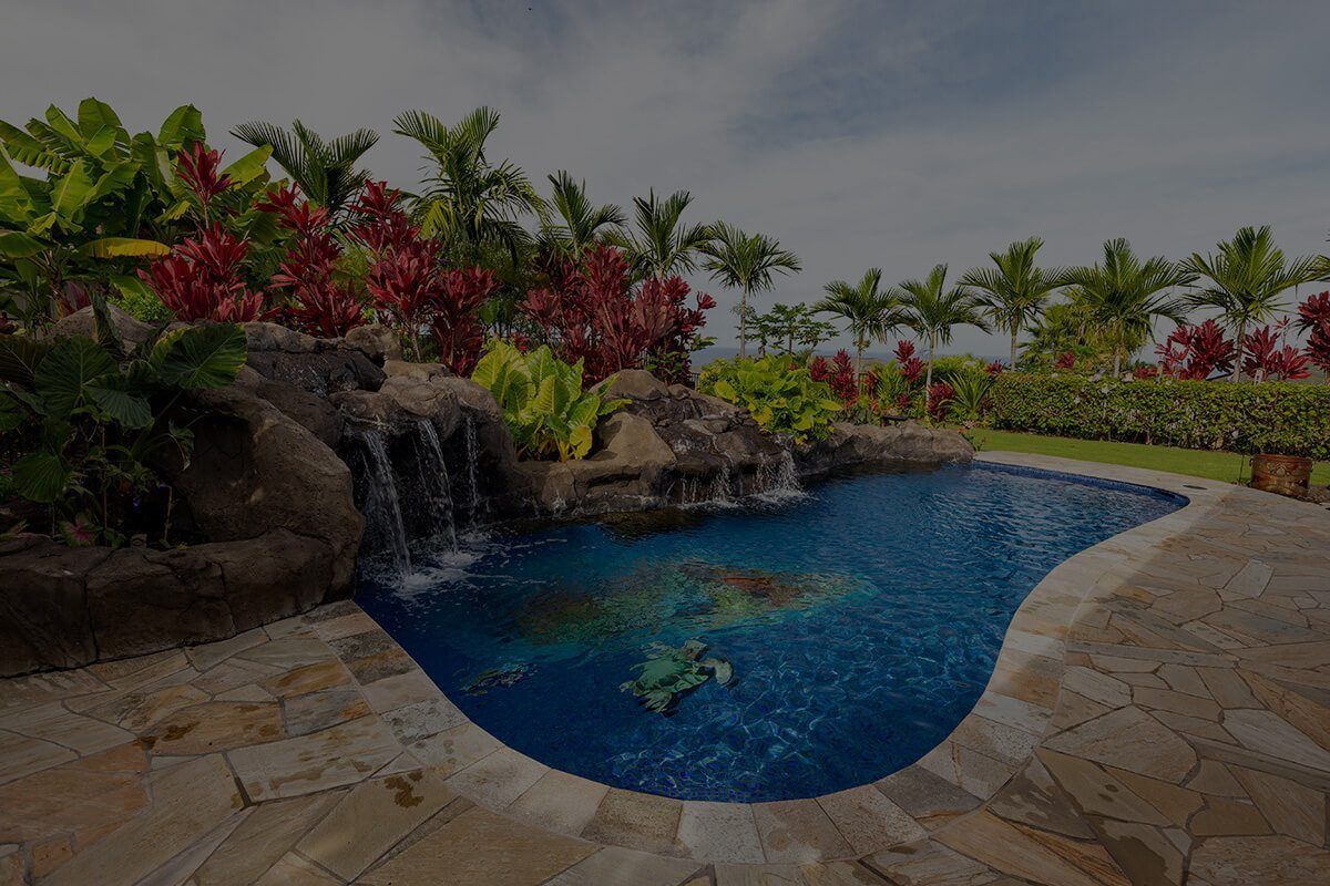 A large swimming pool with a waterfall and a turtle in it.