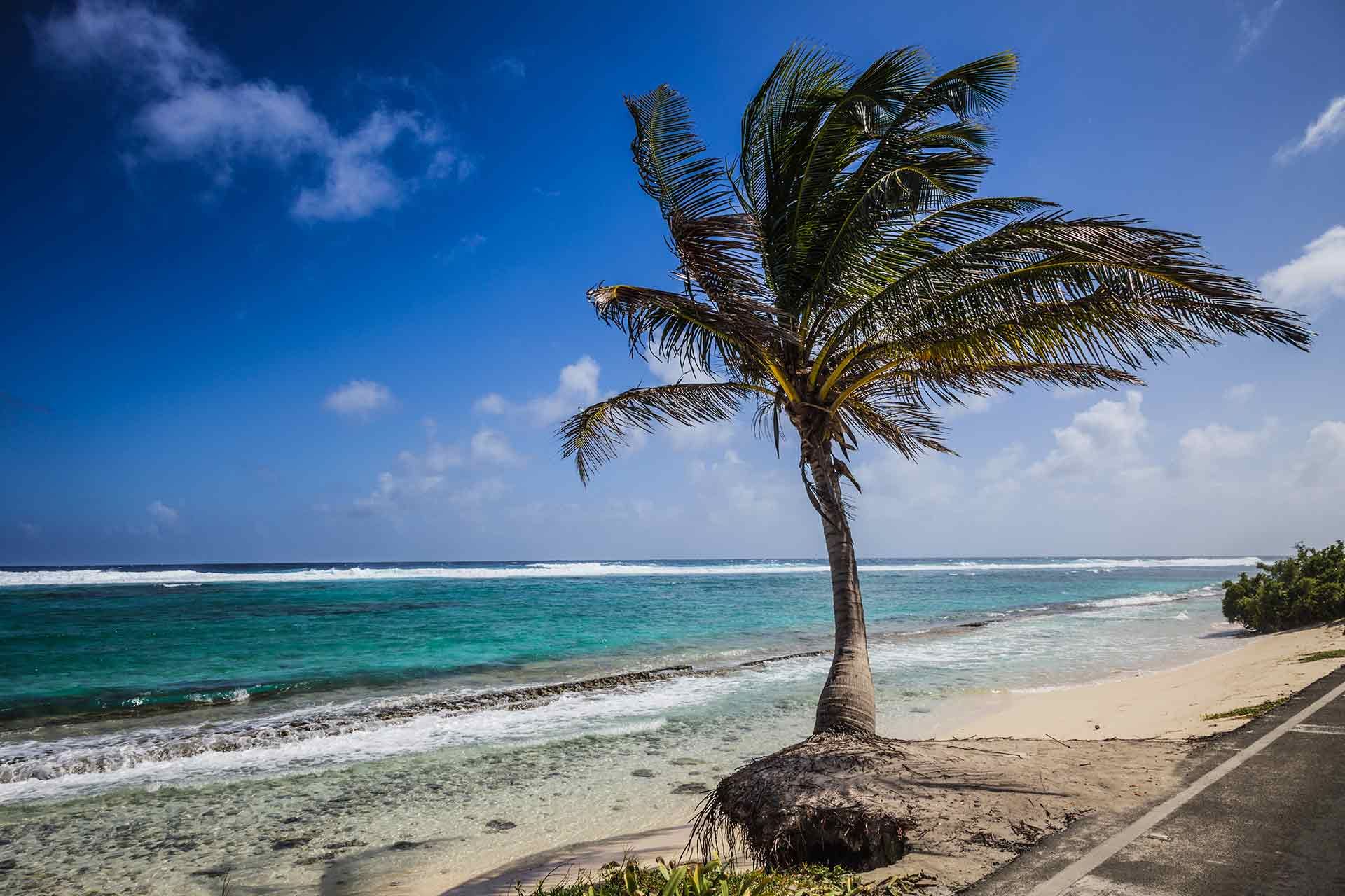 San Andrés Serenity: Island Escape in Colombia - White Sandy Beaches of San Andrés Serenity