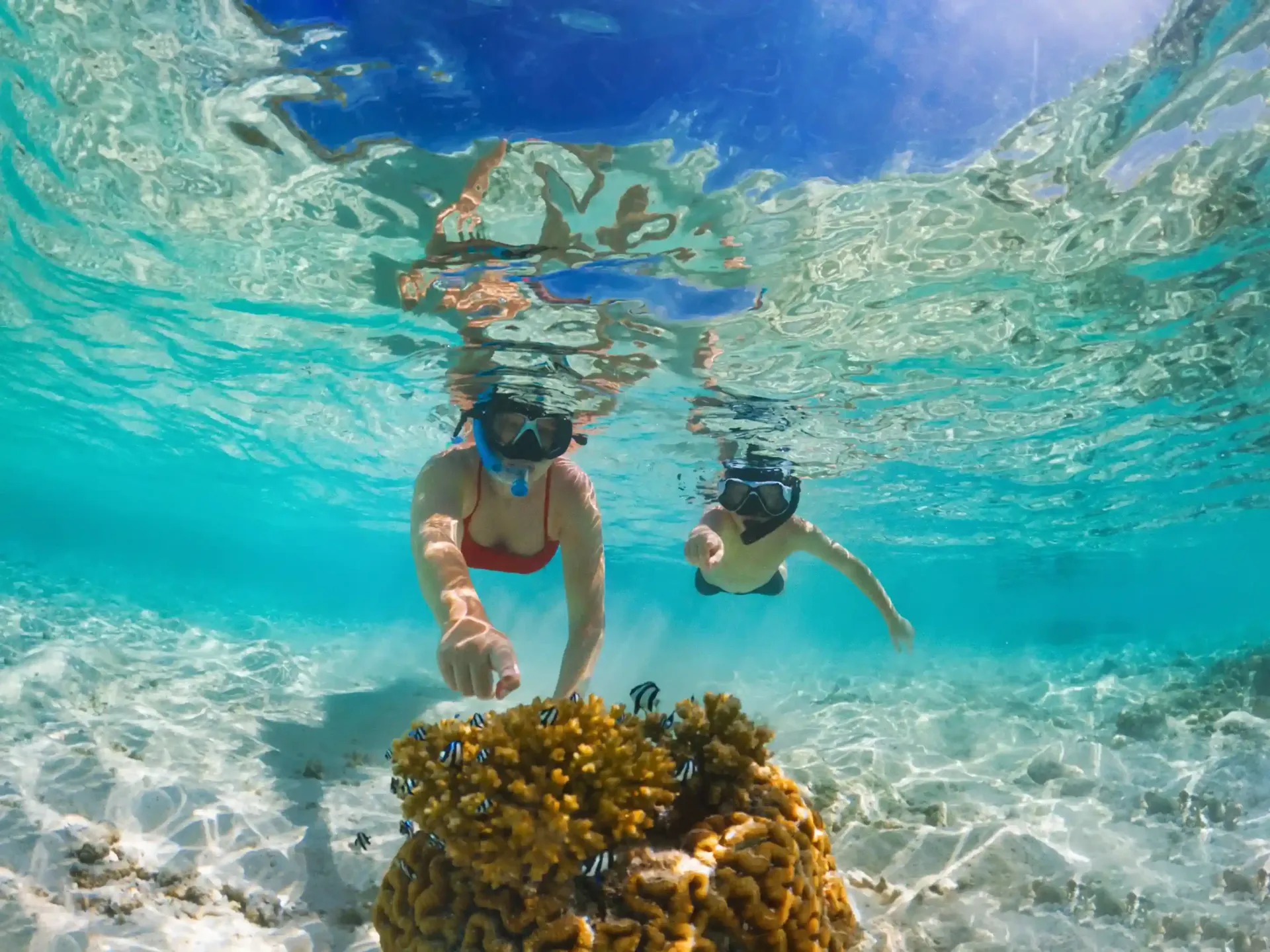Snorkel en arrecife de San Andrés, personas nadando bajo el agua, coral y peces tropicales.