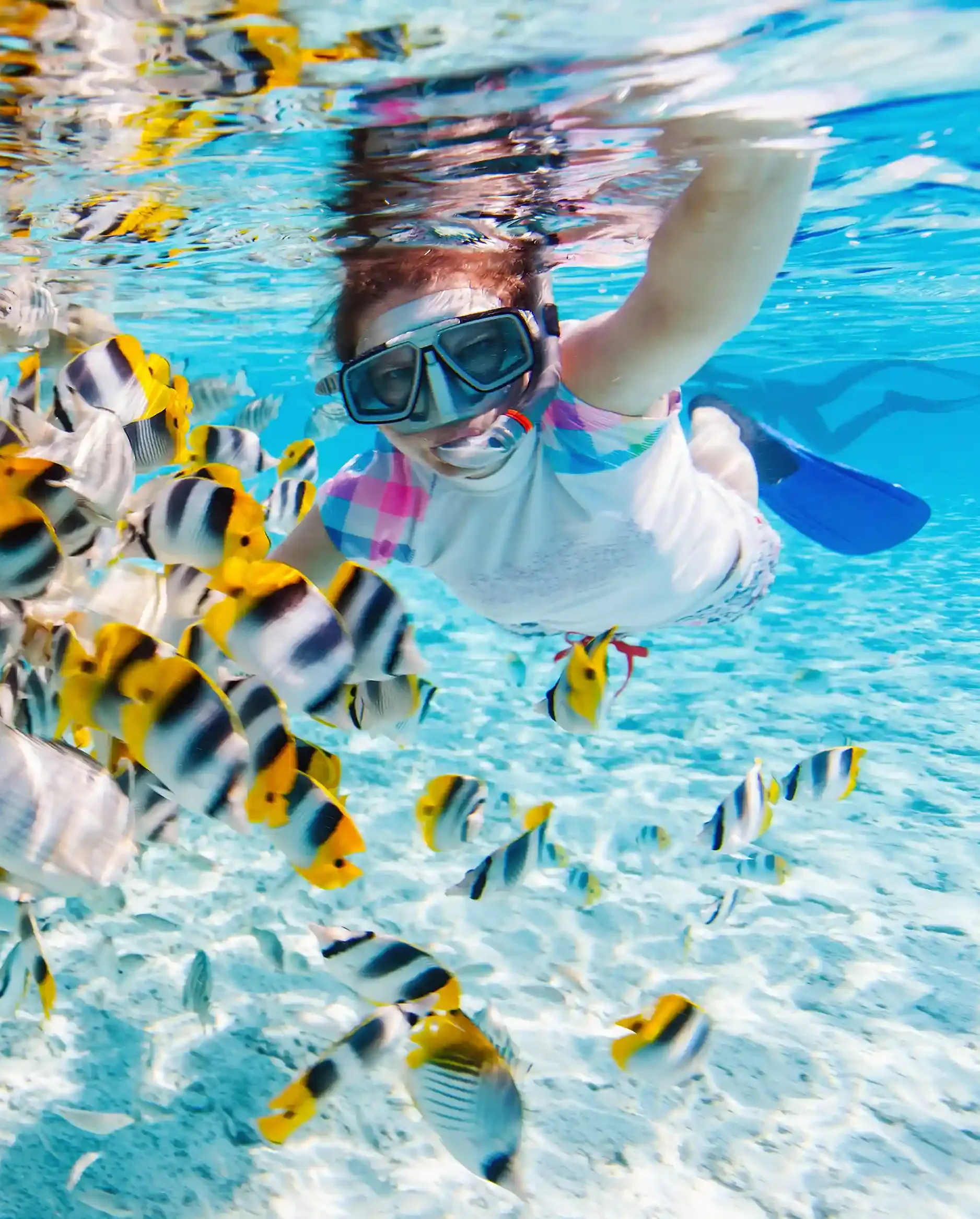 Buceo en San Andrés, en agua cristalina y vida marina.