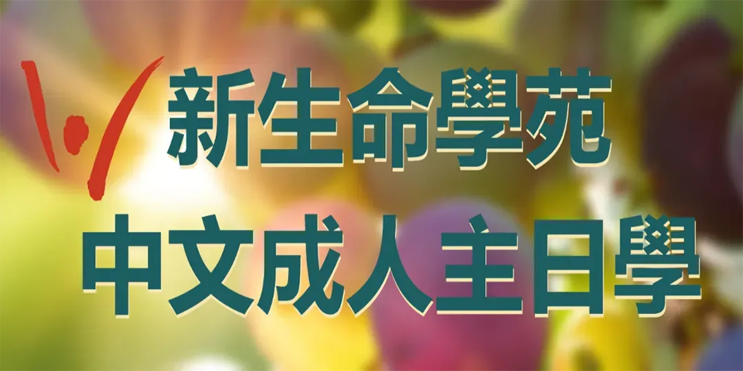 Logo for a Chinese Adult Sunday School, featuring a red abstract symbol next to dark green Chinese text on a blurred background.