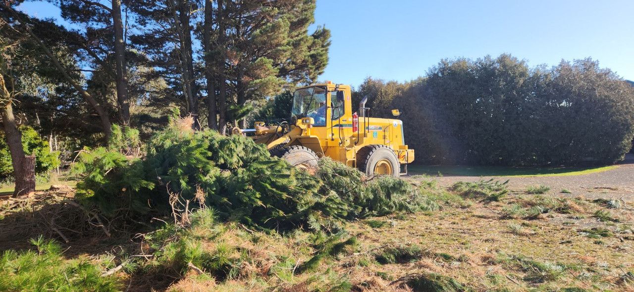 A yellow bulldozer clearing branches in a grassy area surrounded by trees under a blue sky.