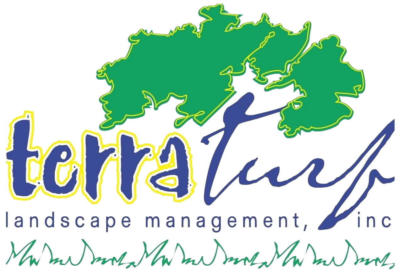 Terra Turf Landscape