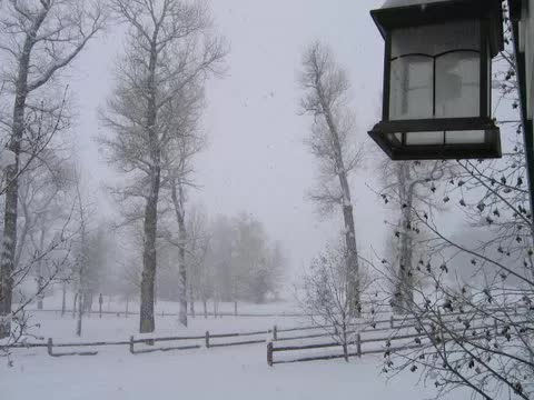 A snowy landscape with trees and a lantern in the foreground