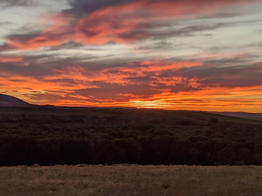 A sunset over a field with trees in the foreground