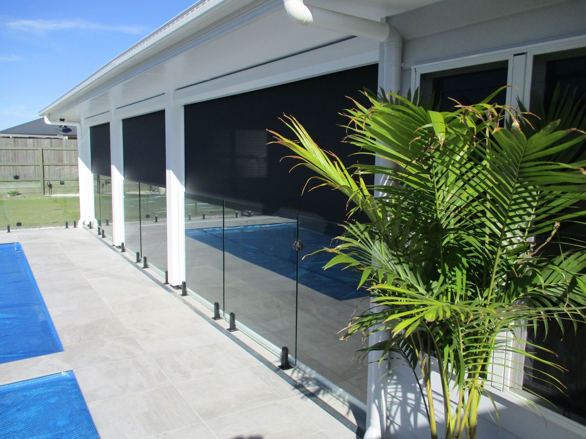Patio With Black Screens, Glass Pool Fencing, and a Palm Tree — Toowoomba Shade & Canvas in Harristown, QLD