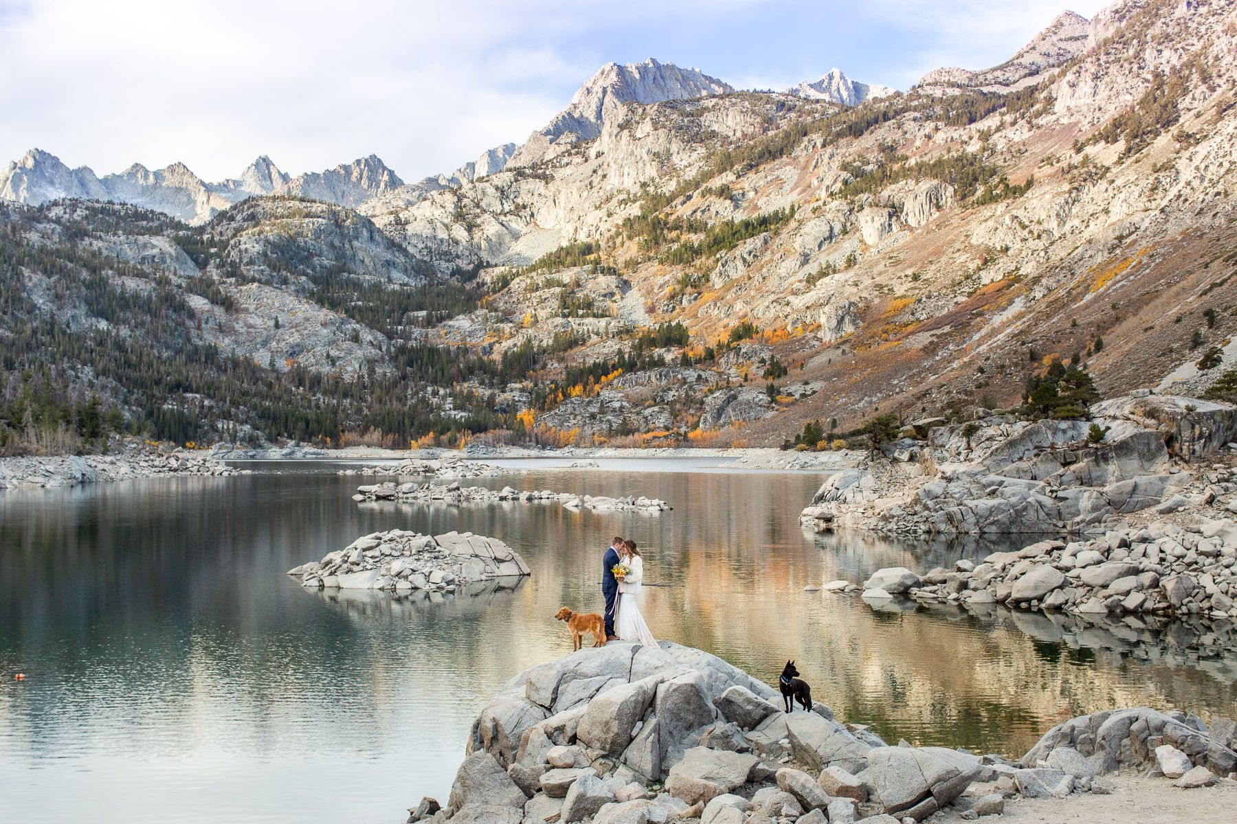 adventure elopement couple at high alpine lake with their dogs