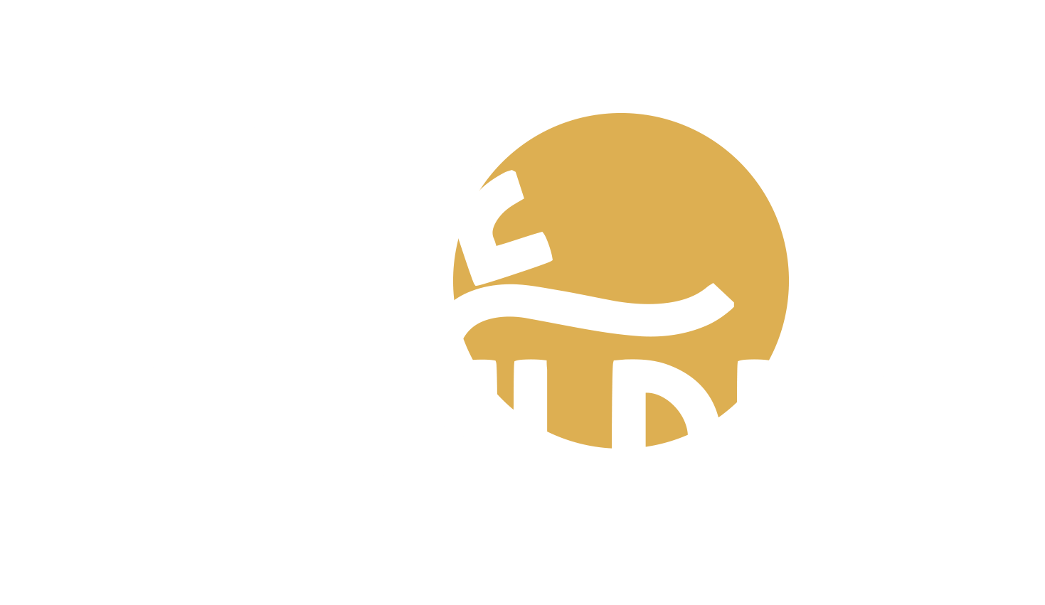 love wildly logo