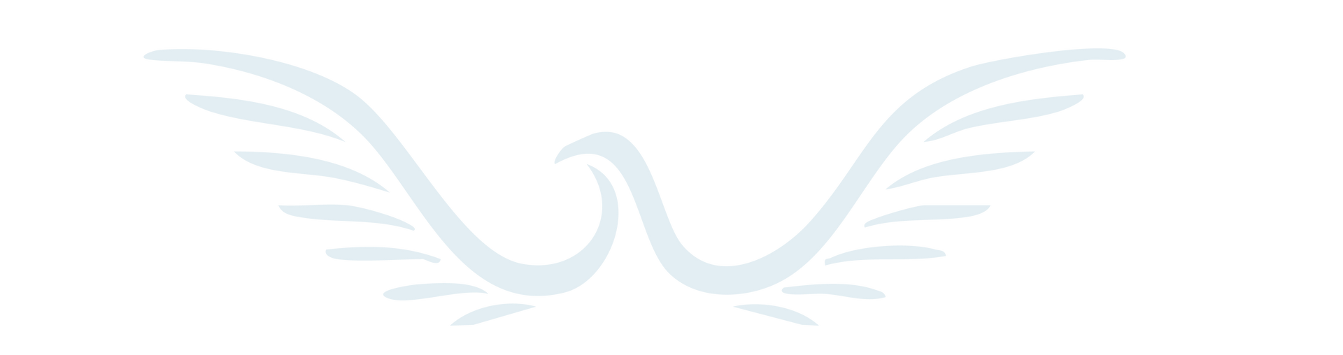 A drawing of two swans with wings on a white background.