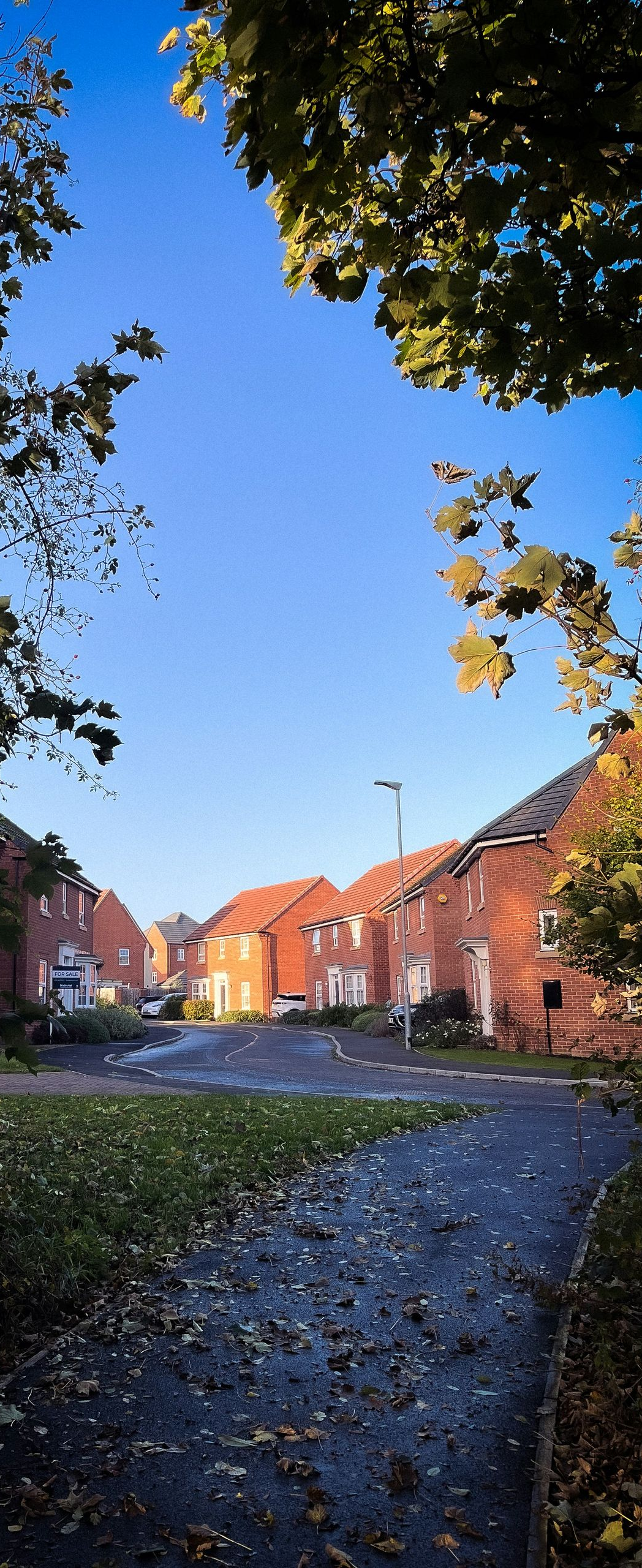 A quiet, narrow road lined with red-brick houses under a clear blue sky, framed by autumn trees with fallen leaves.