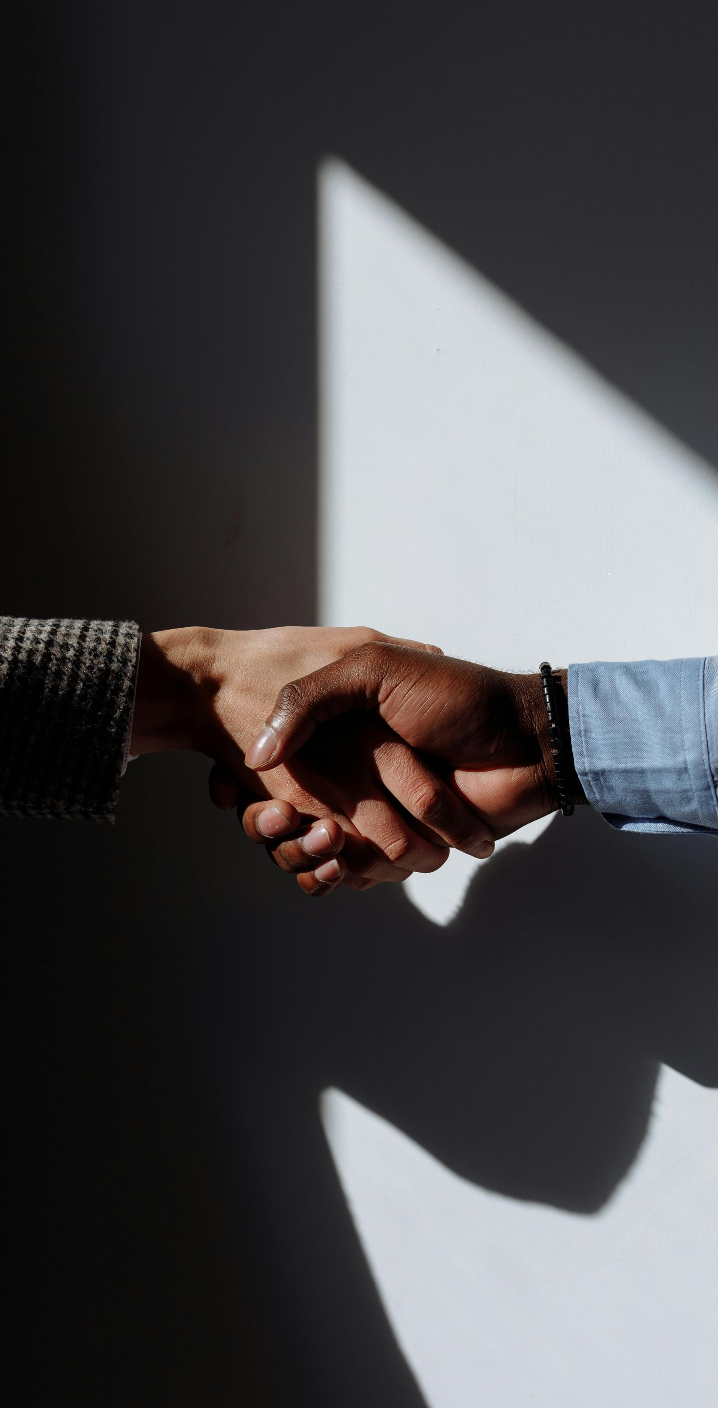 Two hands clasped in a handshake, cast in shadows against a white wall.