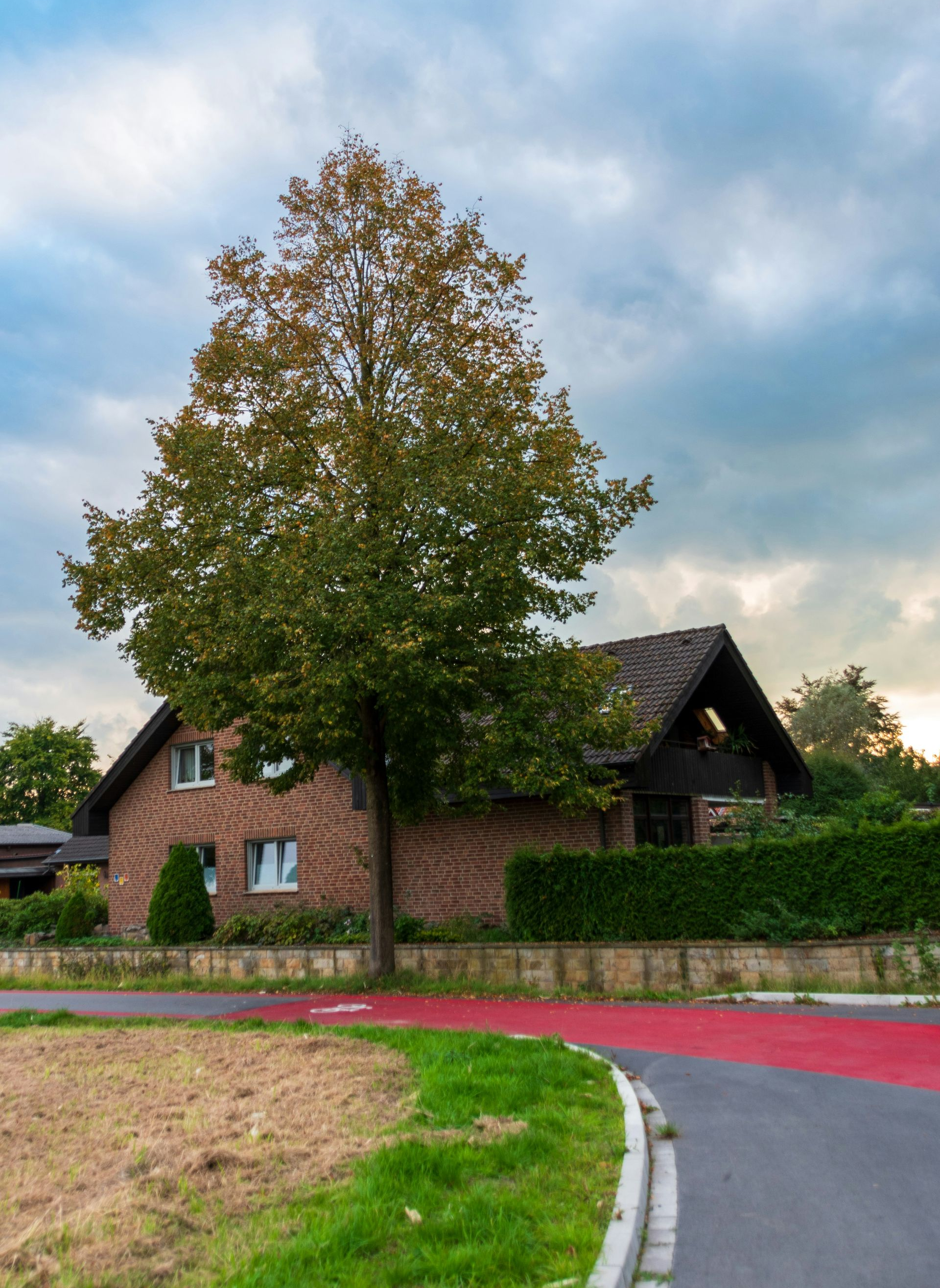 A brick house with a dark gabled roof stands behind a large, leafy tree next to a rural road under a cloudy sky.