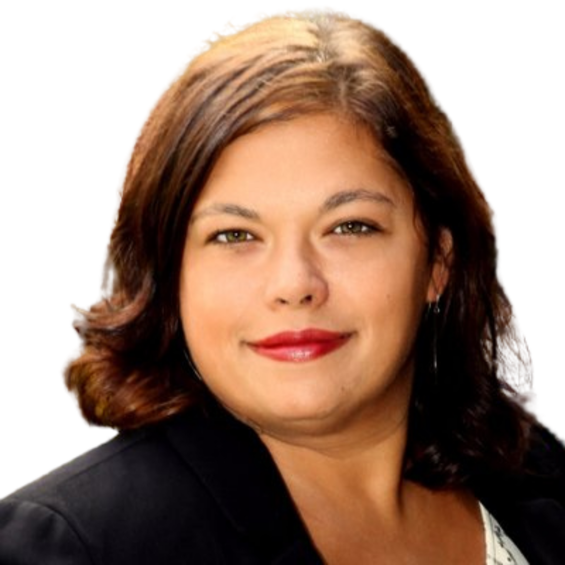  Iron Valley Pocono Real Estate Icon